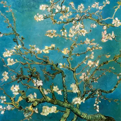 Almond Blossoms Vincent van Gogh